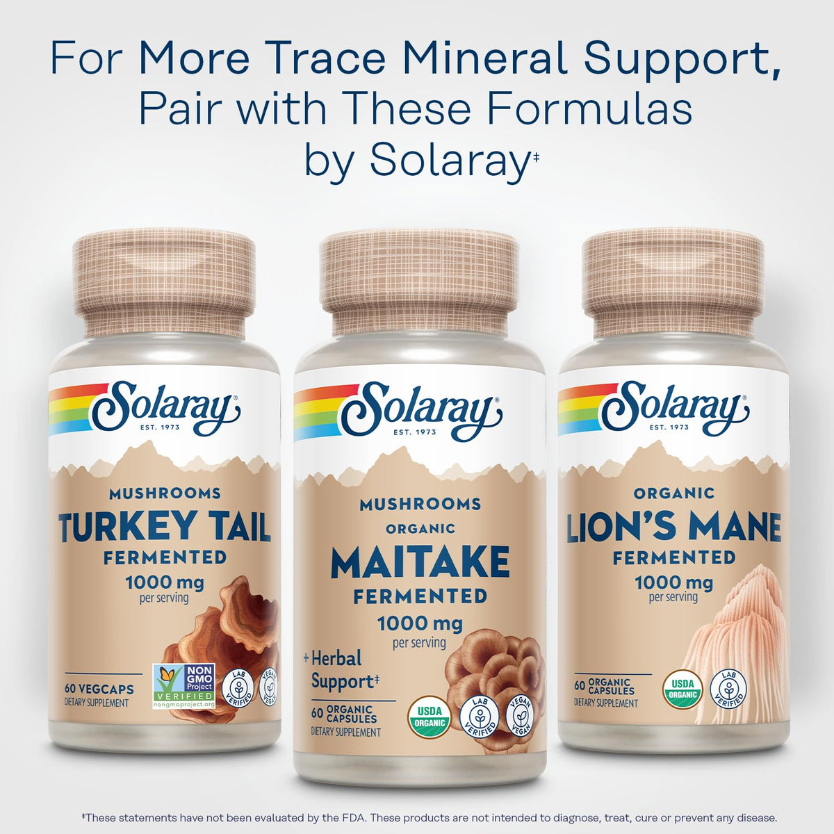 SOLARAY Champignon Maitake Fermenté Bio 1000 mg en utilisation