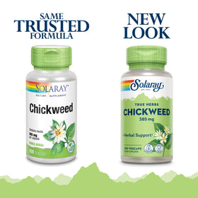 SOLARAY Chicorée 385 mg capsules végétales sur fond blanc