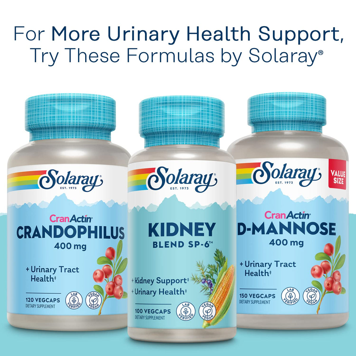 SOLARAY Cranactin 180 capsules végétales avec un bol de canneberges