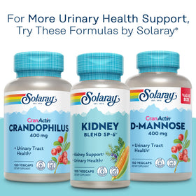 SOLARAY Cranactin 180 capsules végétales avec un bol de canneberges