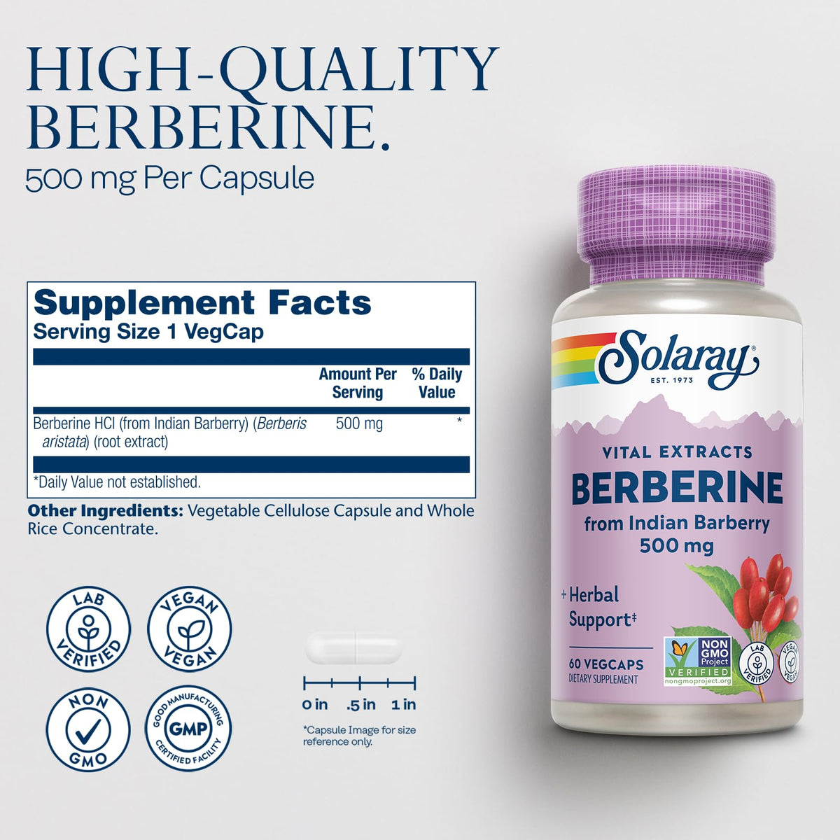 SOLARAY Extrait de Berbérine 500 mg - vue de l'arrière de l'emballage