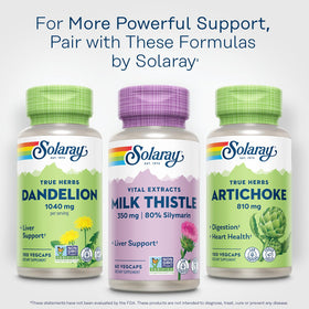 SOLARAY Extrait de Chardon-Marie 350 mg gélules avec une main tenant la bouteille