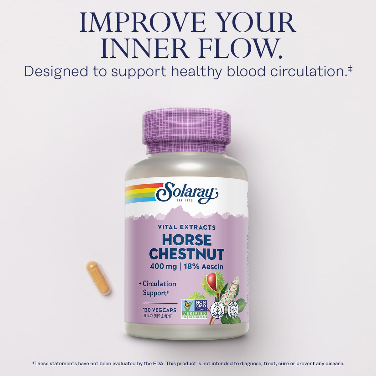 SOLARAY Extrait de Marronnier d'Inde 400 mg dans une main