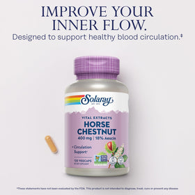 SOLARAY Extrait de Marronnier d'Inde 400 mg dans une main