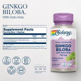 SOLARAY Ginkgo Biloba capsules en gros plan