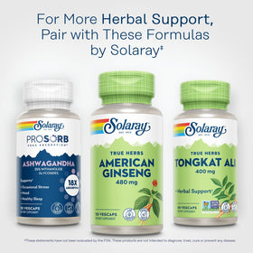 SOLARAY Ginseng Américain 480 mg capsules sur fond naturel