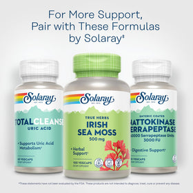 SOLARAY Irish Sea Moss gélules 500 mg dans un environnement naturel
