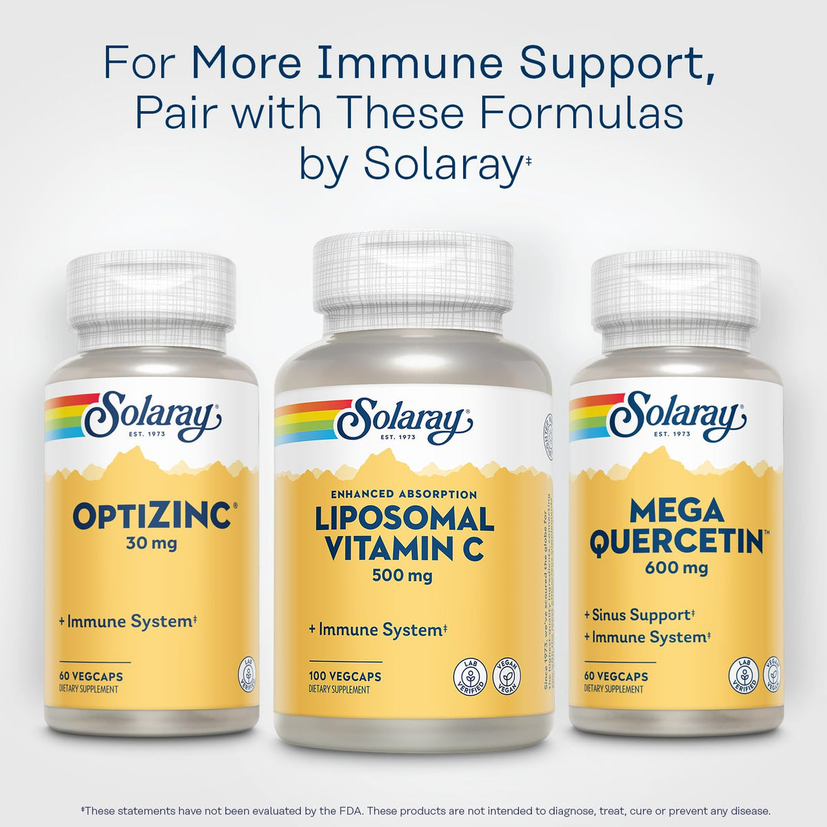 SOLARAY Liposomal Vitamine C 500 mg 100 VegCaps - arrière de la bouteille