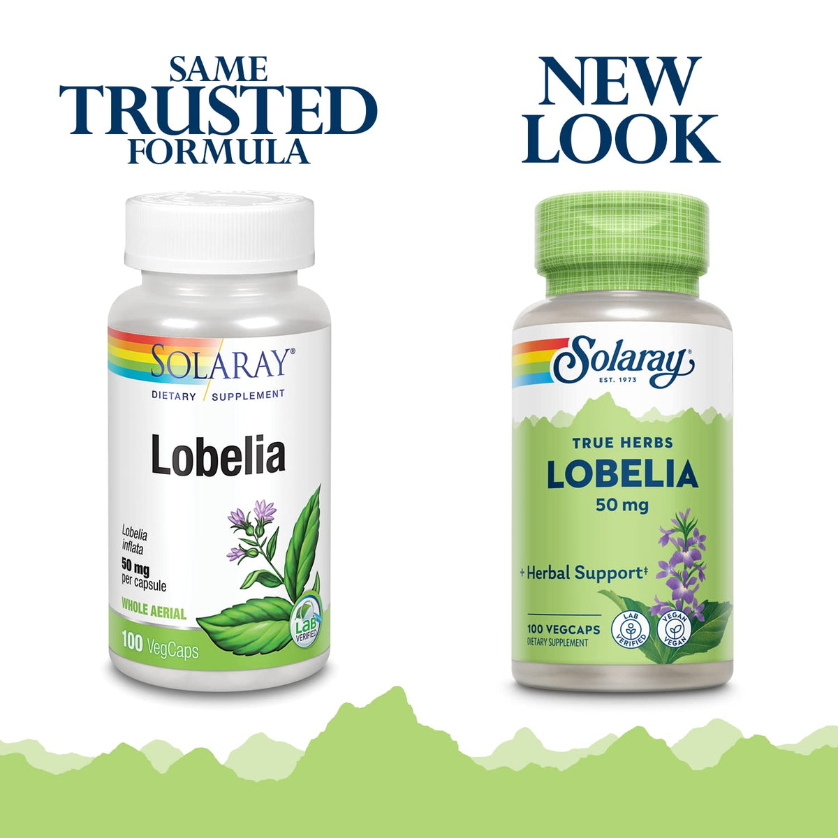 SOLARAY Lobelia Aerial 50mg capsules végétales sur fond blanc