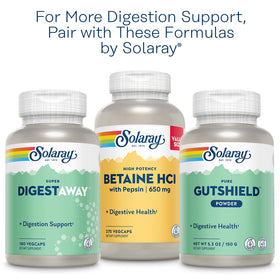 SOLARAY Pancreatin 1300 vue de près des capsules