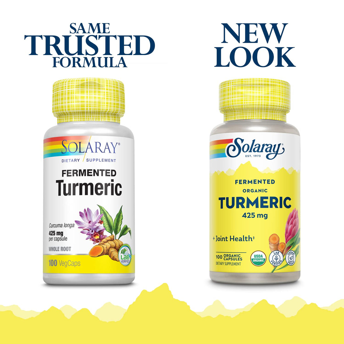SOLARAY Racine de Curcuma Fermentée 500mg 100 VegCaps vue arrière