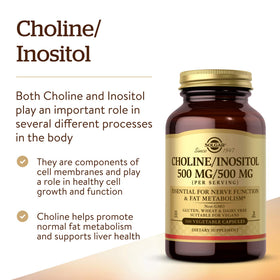 Solgar Choline/Inositol 500 mg étiquette avec spécifications