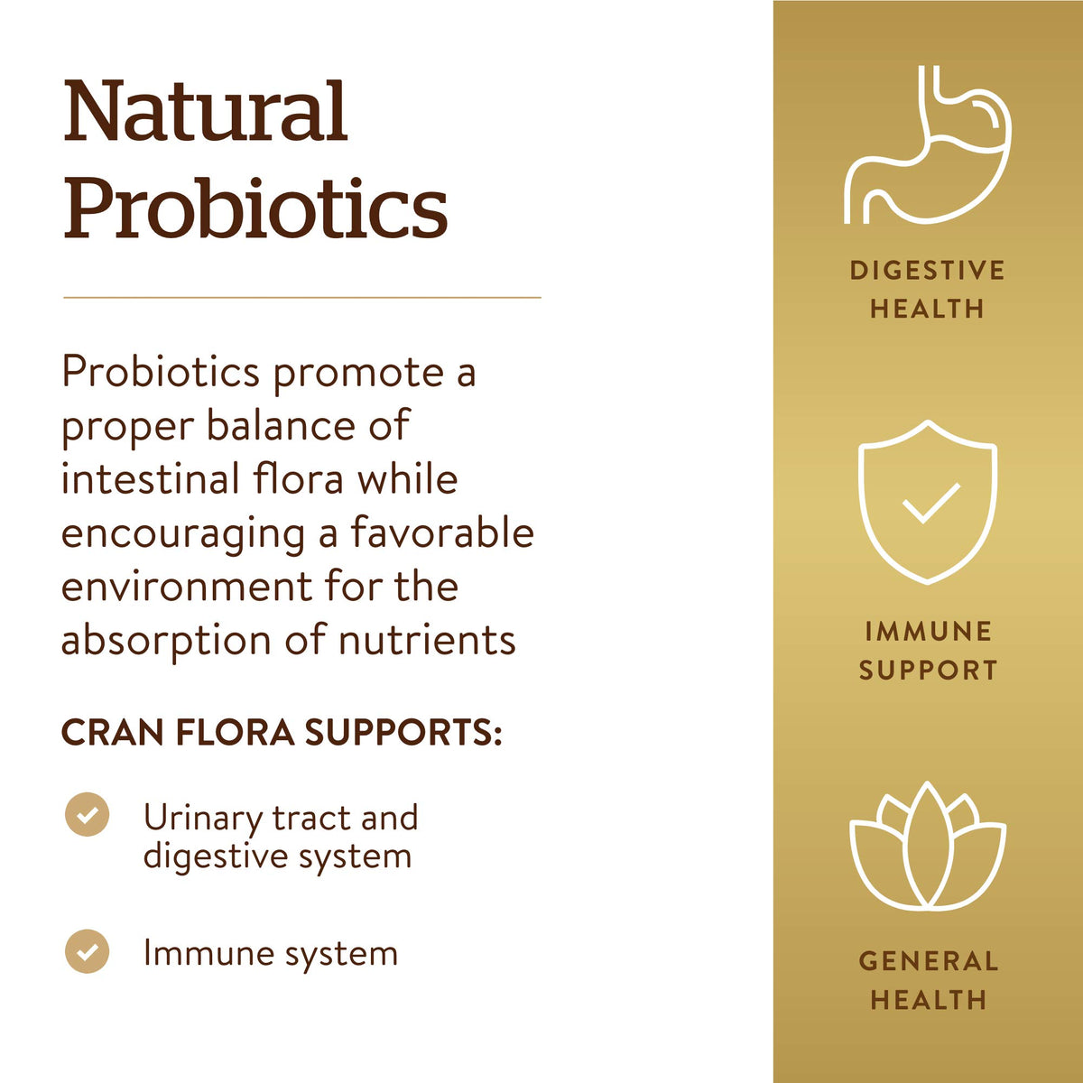 Solgar Cran Flora 60 capsules végétales, présentation du produit