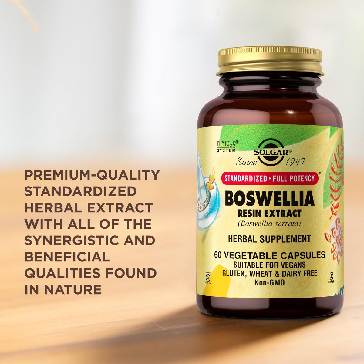 Solgar Extrait de Résine de Boswellia sur un fond naturel