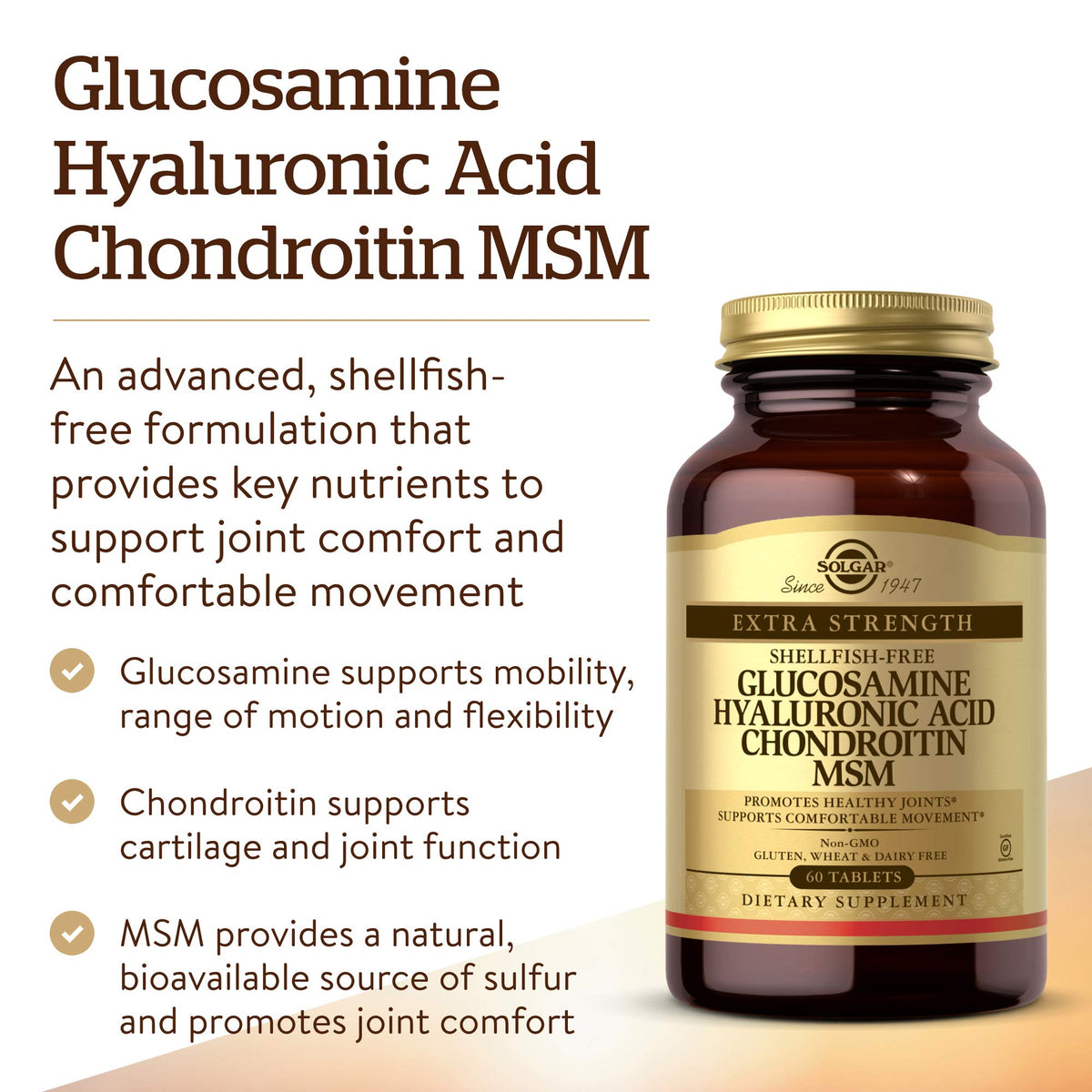 Solgar Glucosamine Acide Hyaluronique Chondroïtine MSM sur un fond neutre