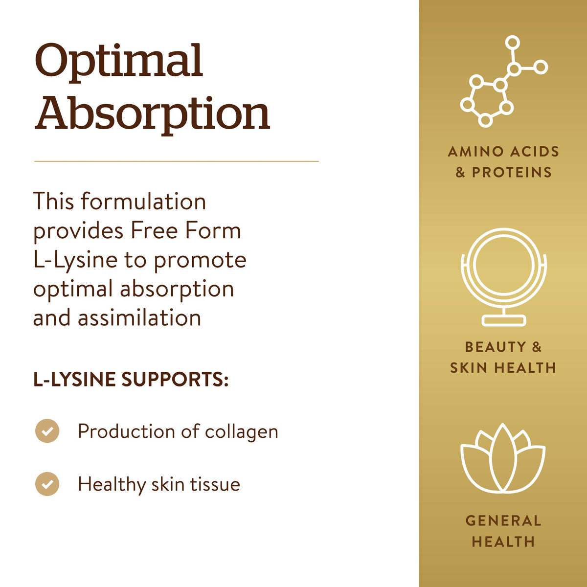 Solgar L-Lysine 1000 mg comprimés ouverts