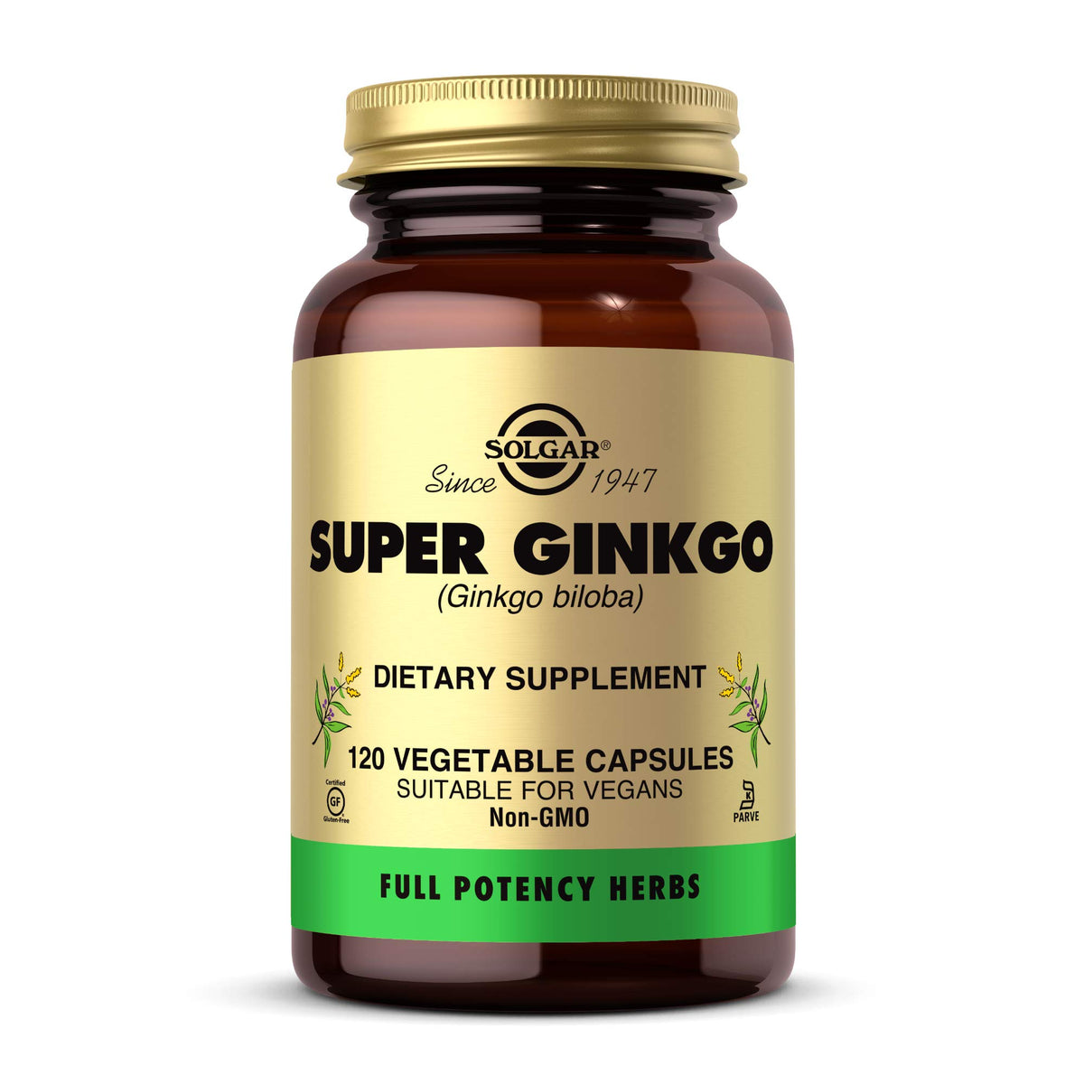 Solgar Super Ginkgo 120 gélules végétales en vue de face