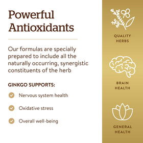 Solgar Super Ginkgo sur un fond naturel avec des herbes