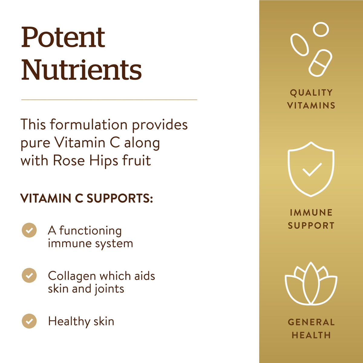 Solgar Vitamine C 1500 mg avec Églantier, comprimés en gros plan