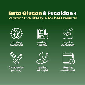 SOLNUVI Beta Glucan & Fucoidan ingrédients principaux