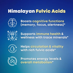 SOLNUVI Shilajit capsules avec ingrédients visibles