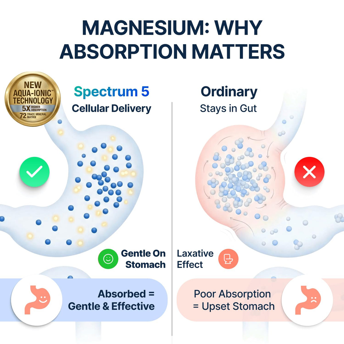 SonoHealth Spectrum 5 Magnésium avec des ingrédients naturels