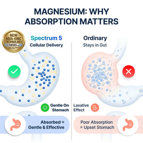 SonoHealth Spectrum 5 Magnésium avec des ingrédients naturels