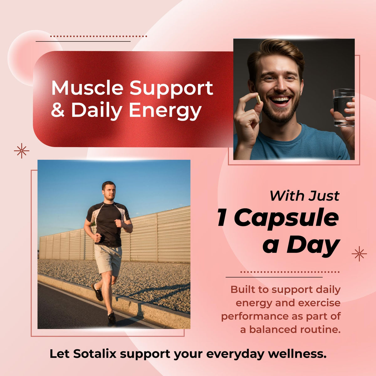 SOTALIX SUPPLEMENT Ultra Turkesterone 800 mg capsules vues de près