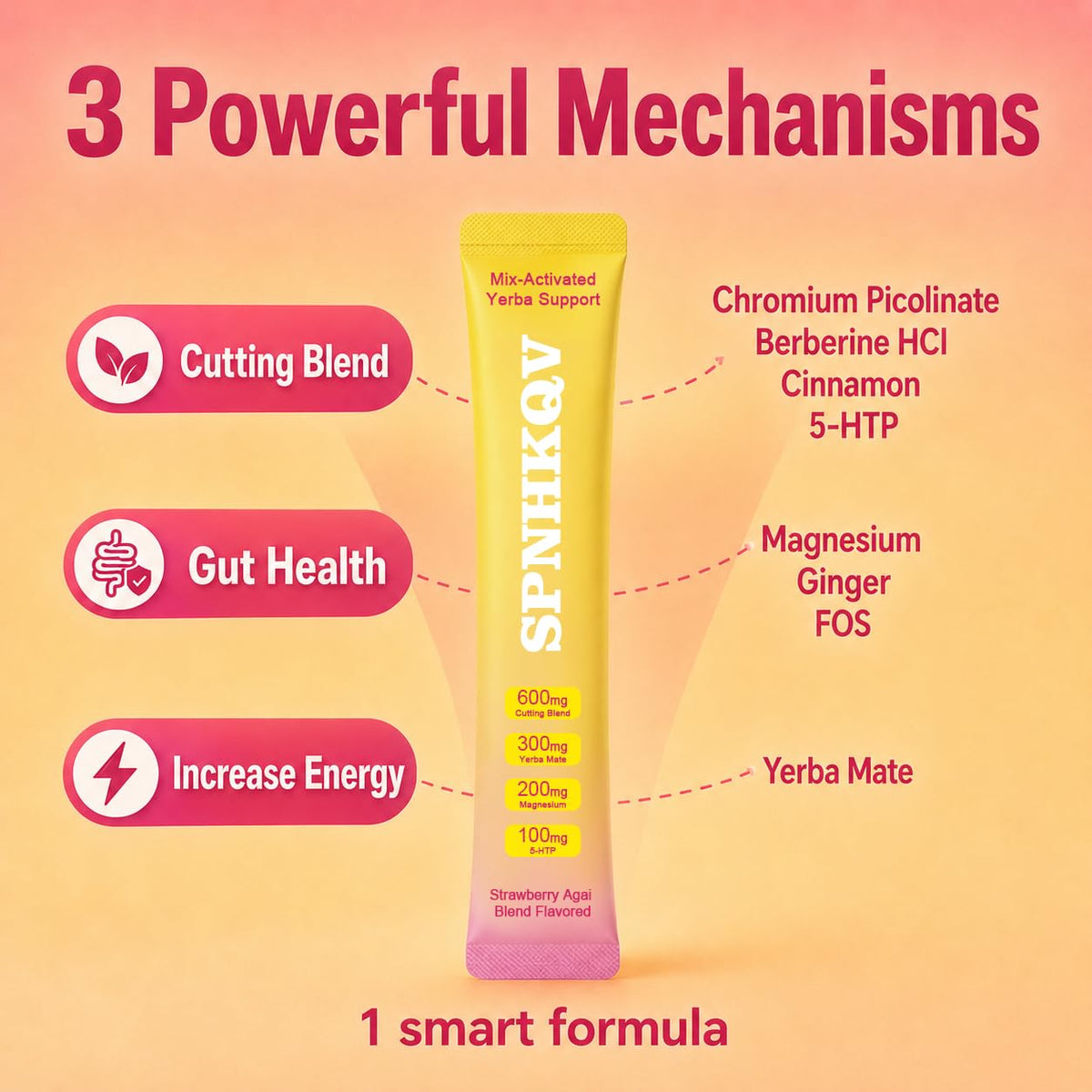 SPNHKOV Mélange de Berbérine + Yerba Mate, préparation avec eau froide