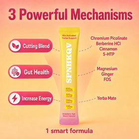 SPNHKOV Mélange de Berbérine + Yerba Mate, préparation avec eau froide