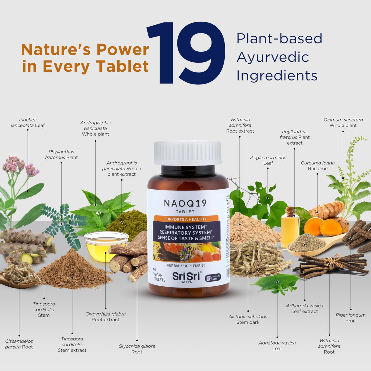 Sri Sri Products NAOQ19 complément alimentaire 90 capsules avec ingrédients