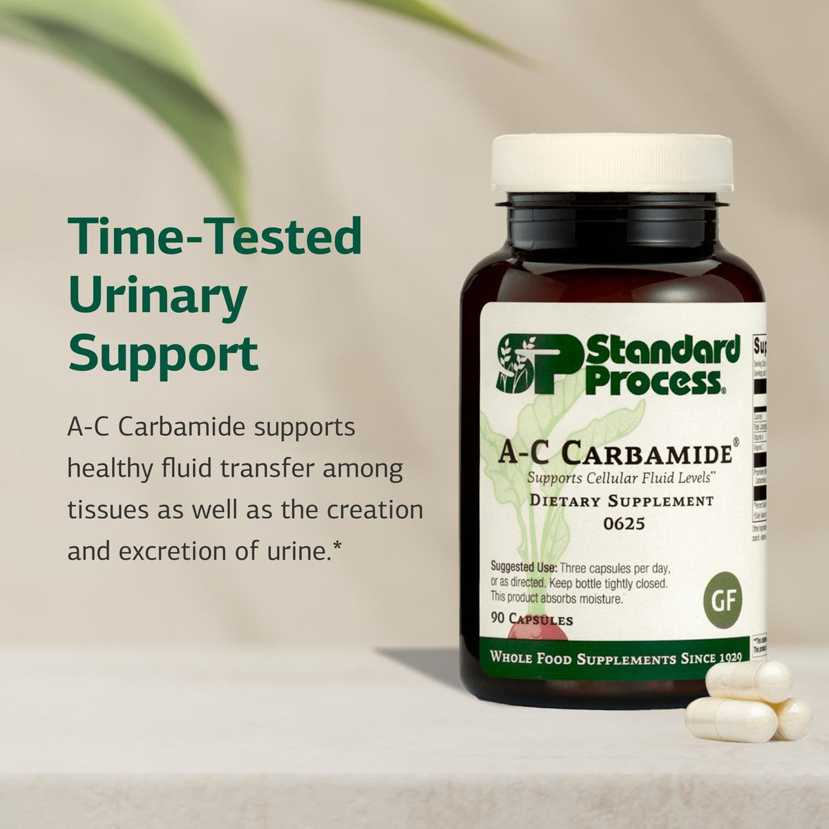 Standard Process A-C Carbamide 90 capsules arrière