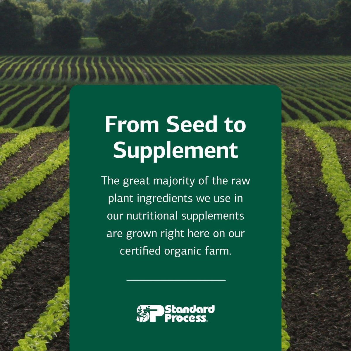 Standard Process Antronex vue arrière de l'emballage
