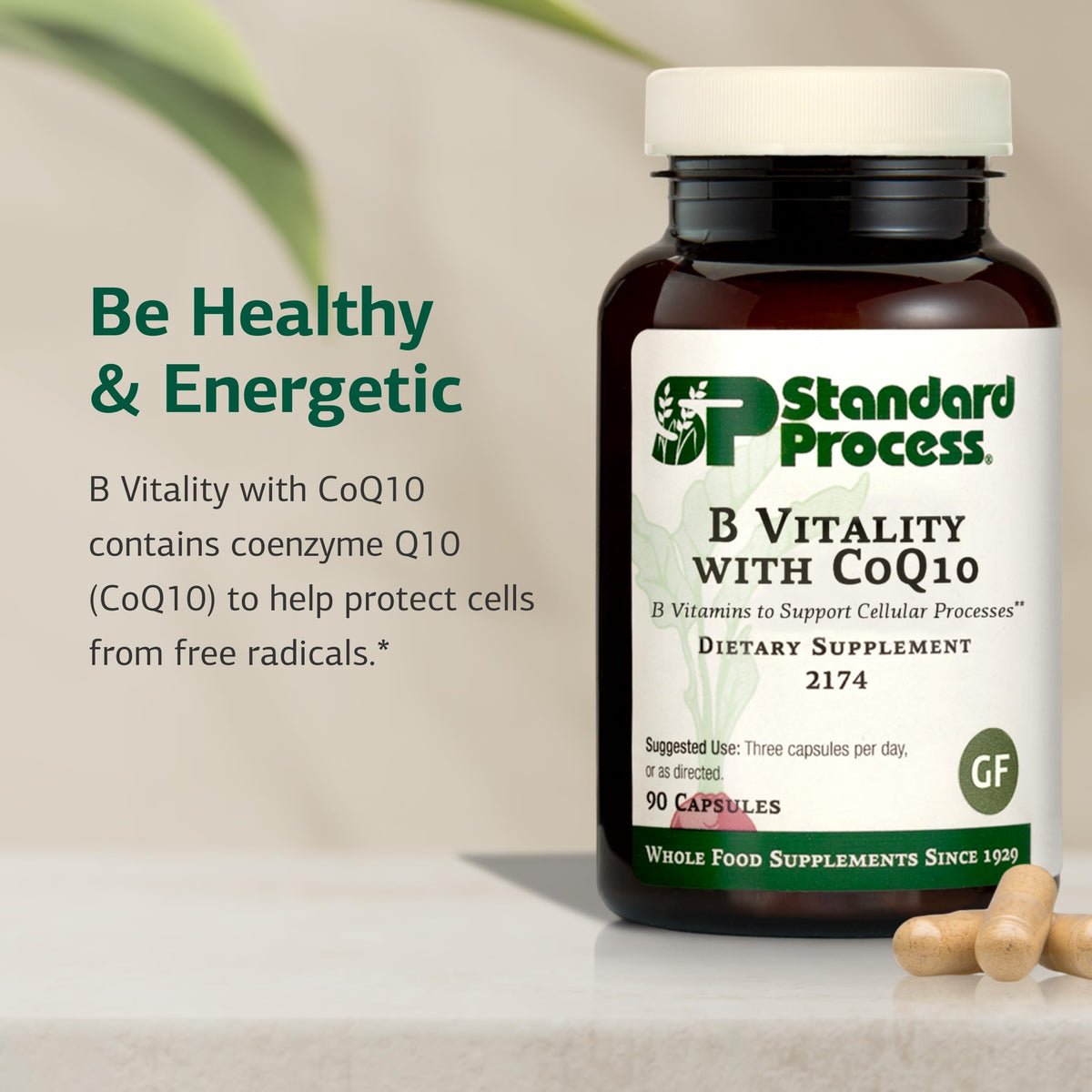 Standard Process B Vitality 90 capsules sur un fond blanc