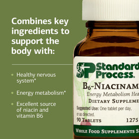 Standard Process B6-Niacinamide tablettes sur une surface blanche