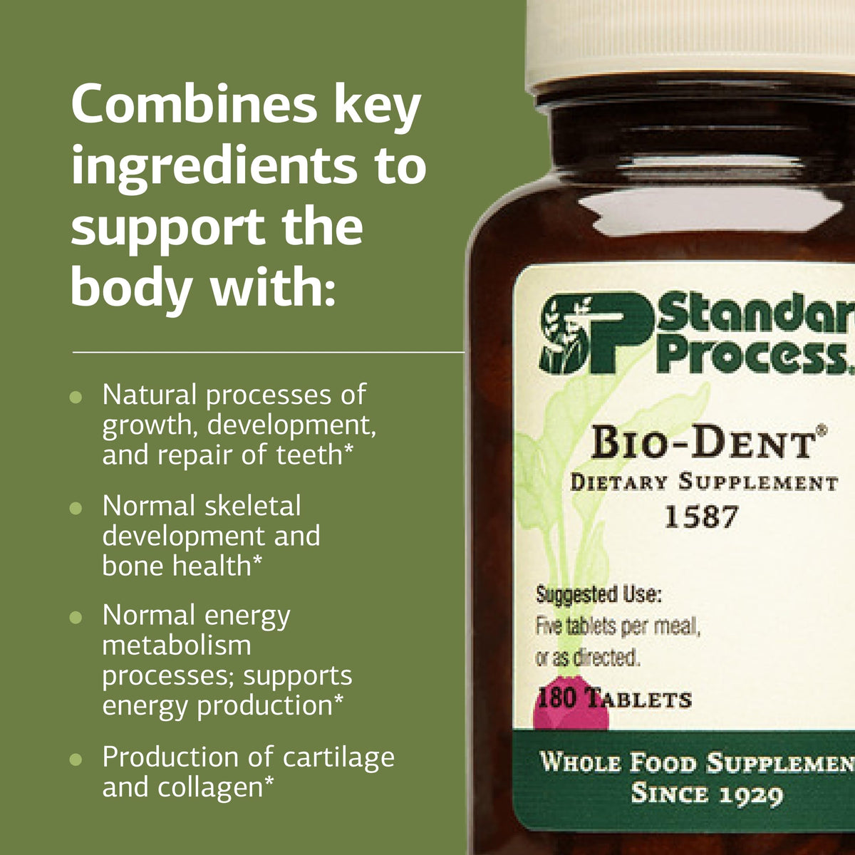 Standard Process Bio-Dent 180 comprimés avec une bouteille d'eau