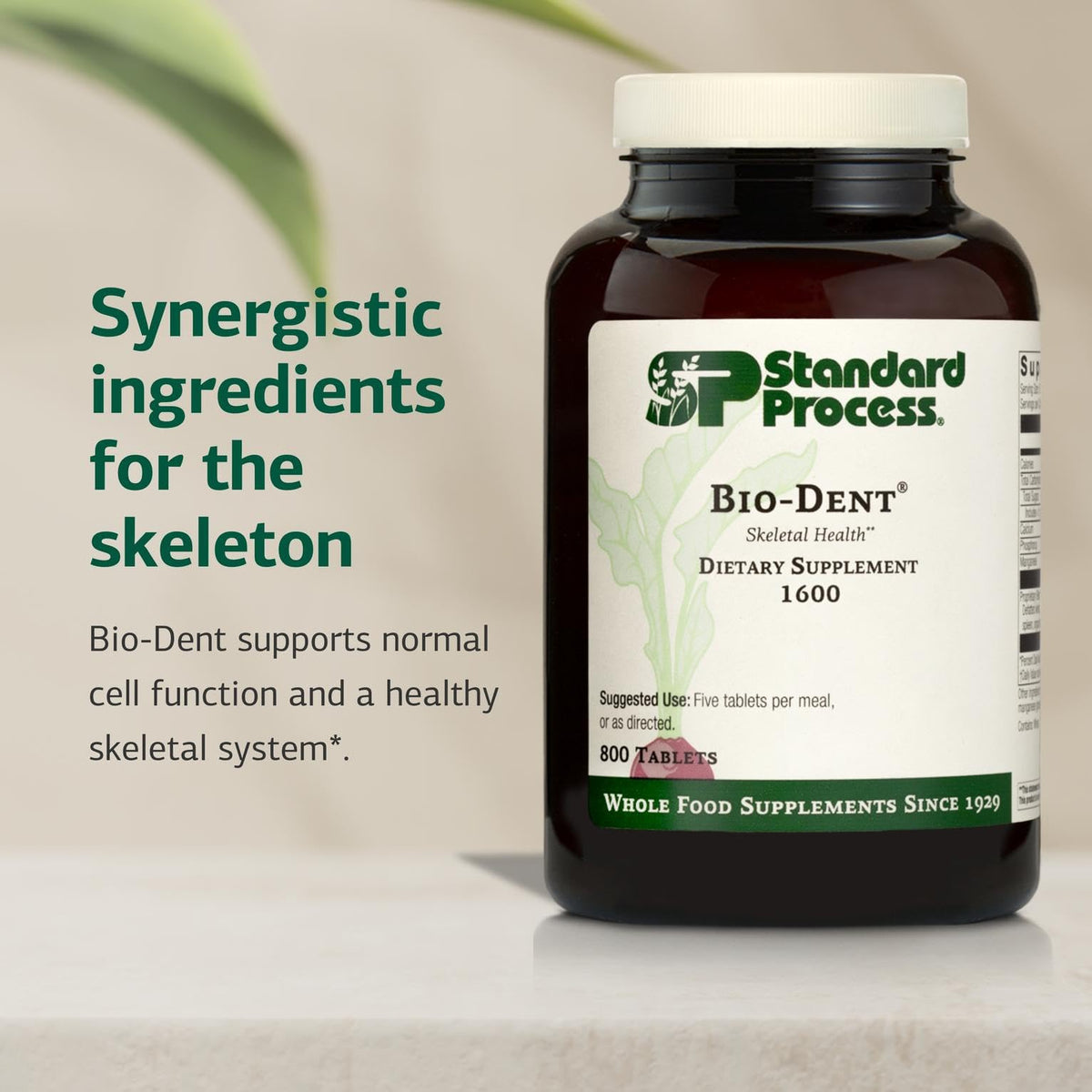 Standard Process Bio-Dent 800 comprimés sur fond blanc