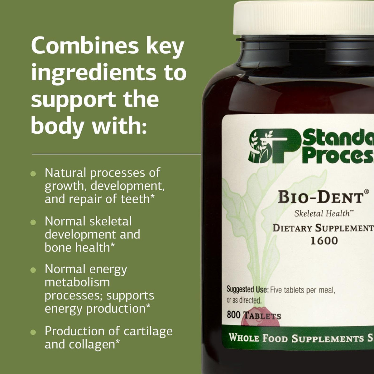 Standard Process Bio-Dent comprimés en gros plan