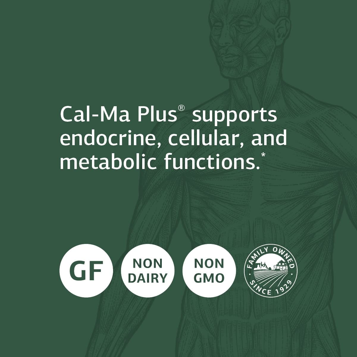 Standard Process Cal-Ma Plus comprimés dans une main