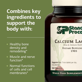 Standard Process Calcium Lactate comprimés, gros plan sur les comprimés