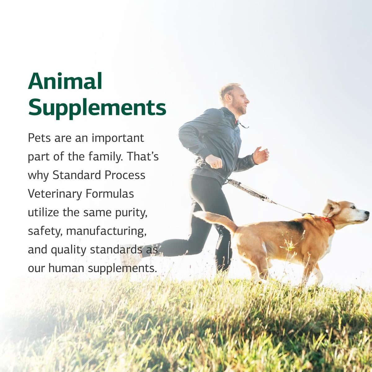 Standard Process Canine Support 100 g côté droit