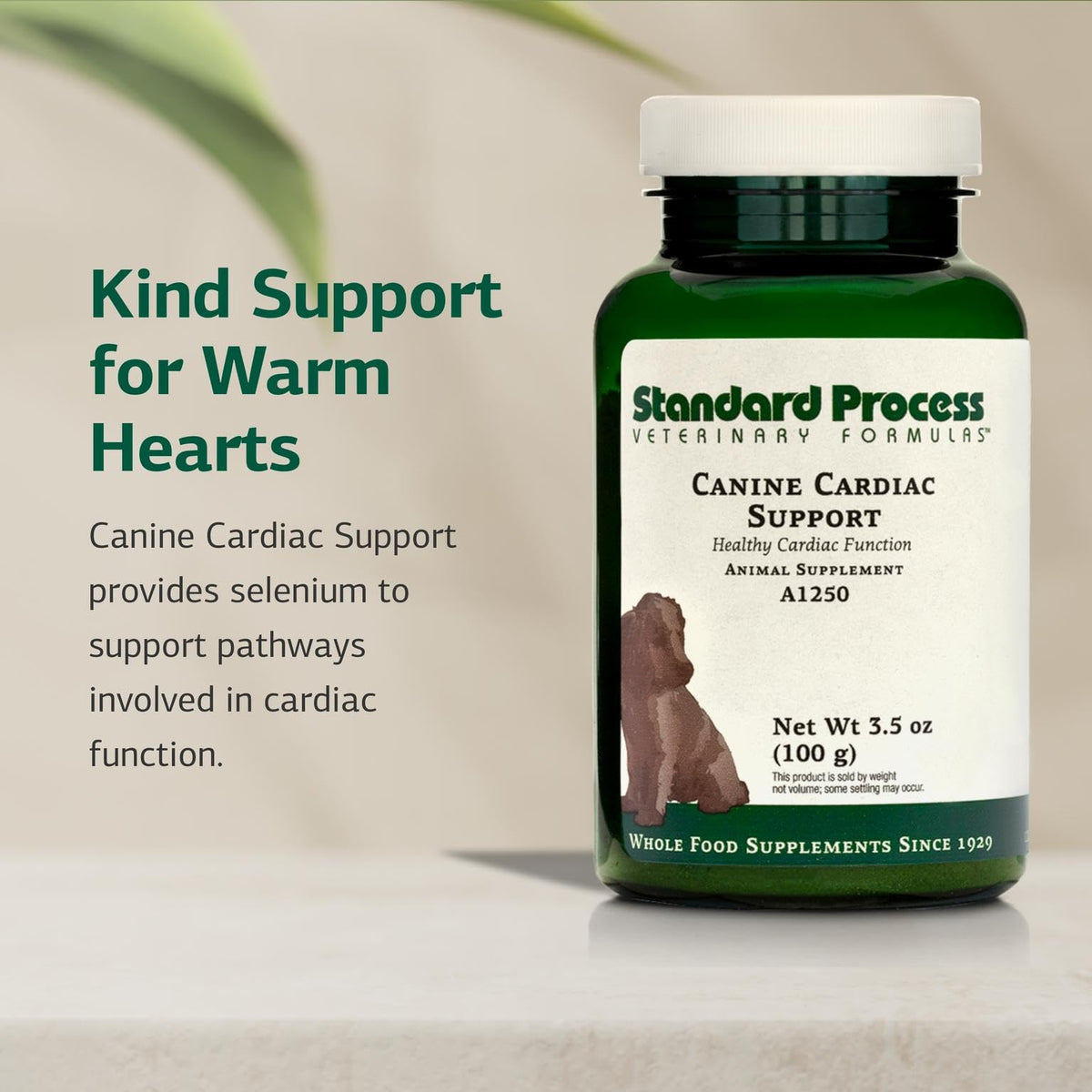 Standard Process Canine Support 100 g emballage arrière