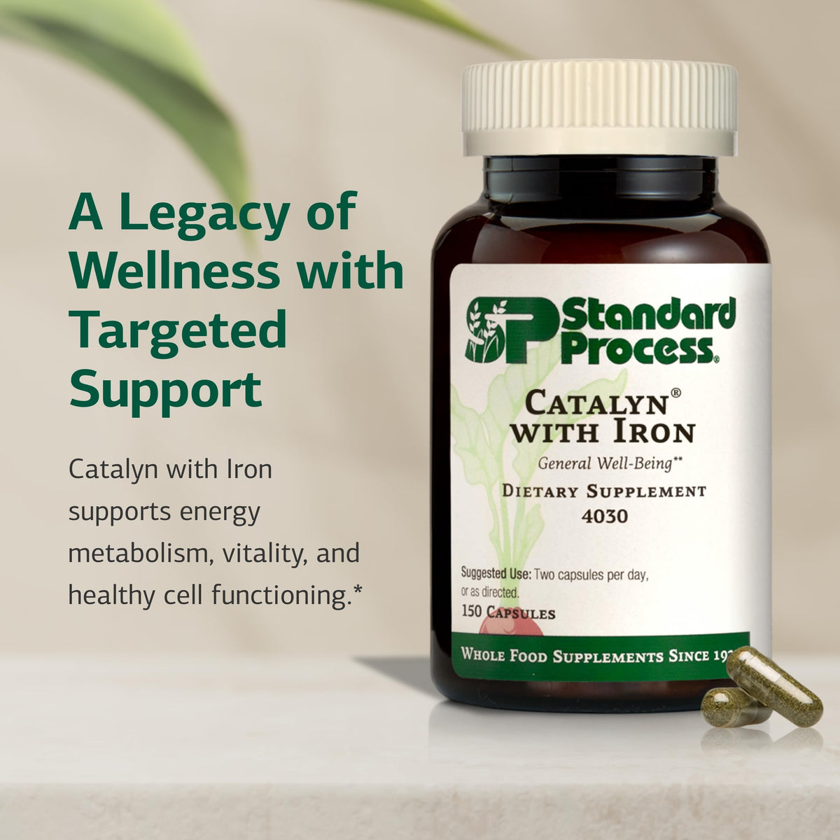 Standard Process Catalyn avec Fer 150 capsules côté