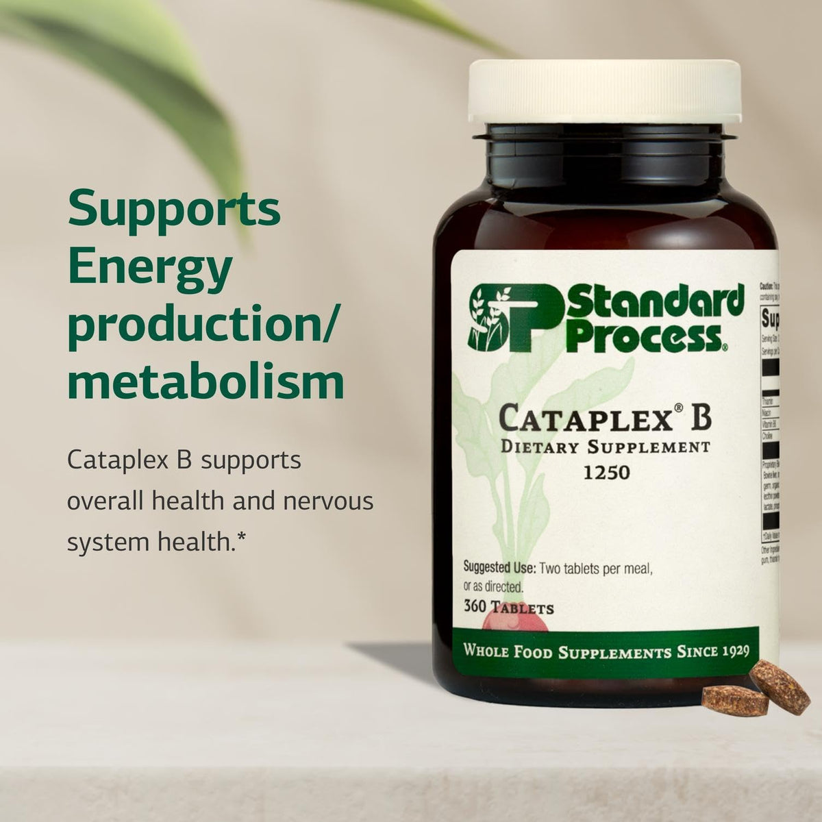 Standard Process Cataplex B, comprimés sur fond blanc