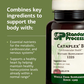Standard Process Cataplex B, comprimés sur une surface