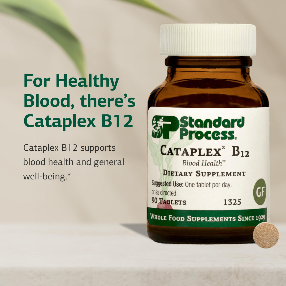 Standard Process Cataplex B12 comprimés sur une table