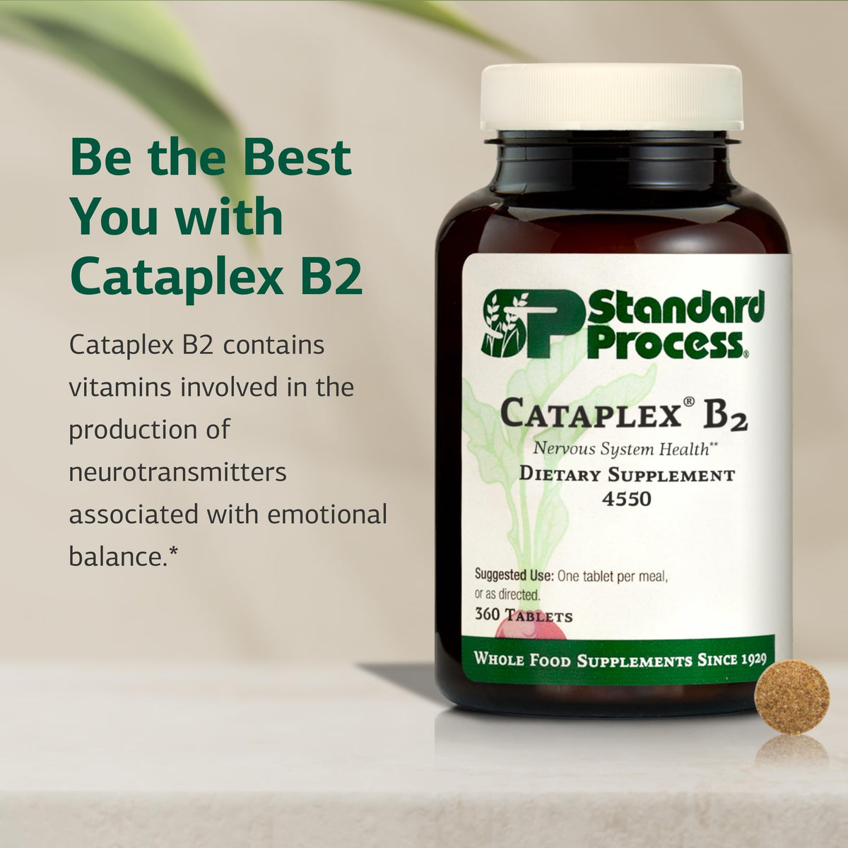 Standard Process Cataplex B2 comprimés sur fond blanc