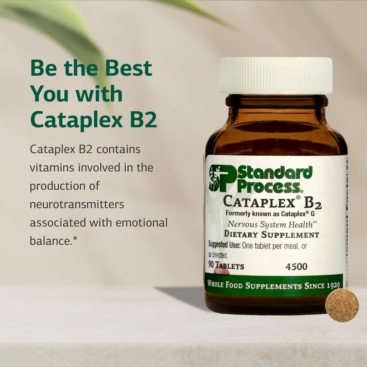 Standard Process Cataplex B2, vue des comprimés