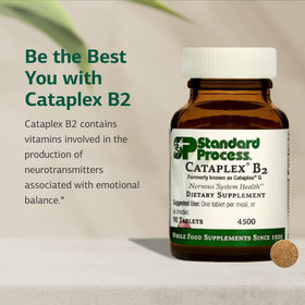 Standard Process Cataplex B2, vue des comprimés
