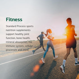 Standard Process Cataplex E2 comprimés en gros plan